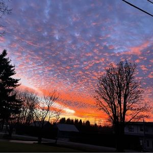 Meet your Posher, Bryanna